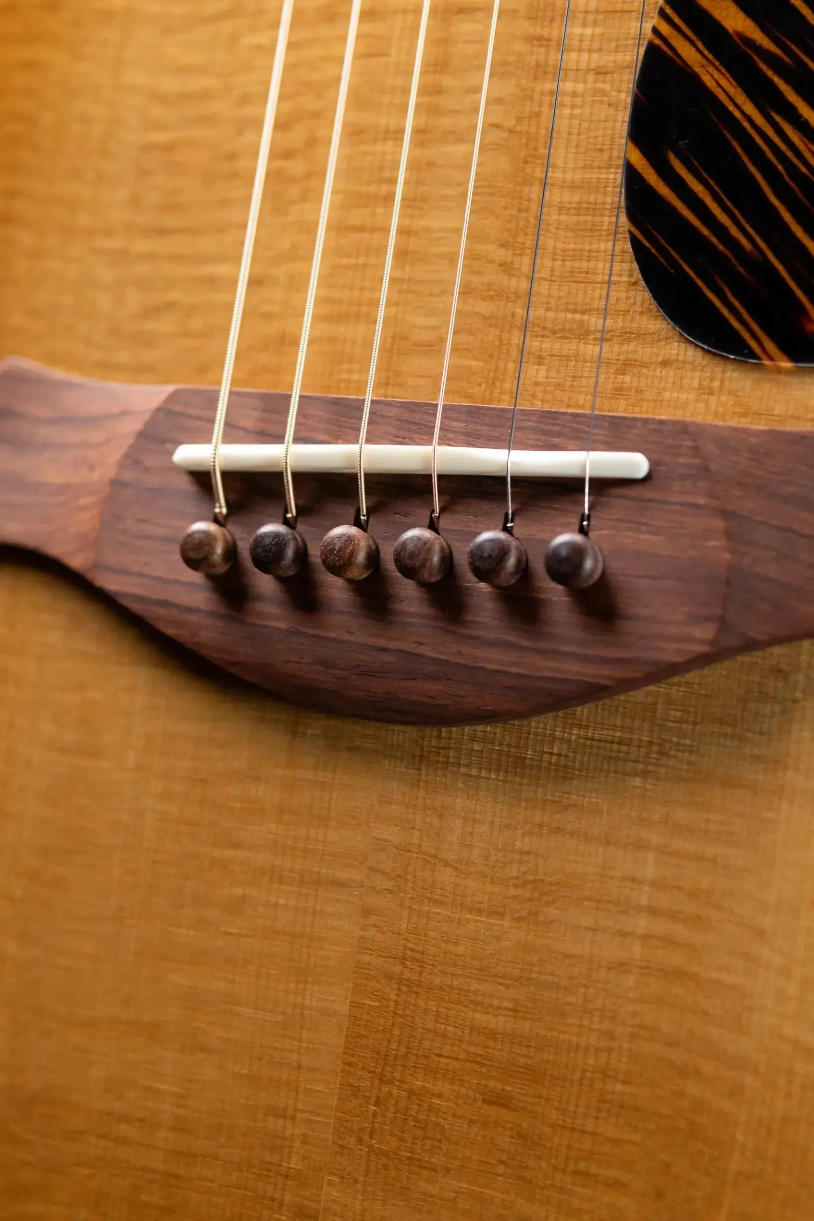 Taylor Gold Label 717e SB Grand Pacific Acoustic/Electric Guitar - Sunburst with Firestripe Pickguard and Hardshell Case