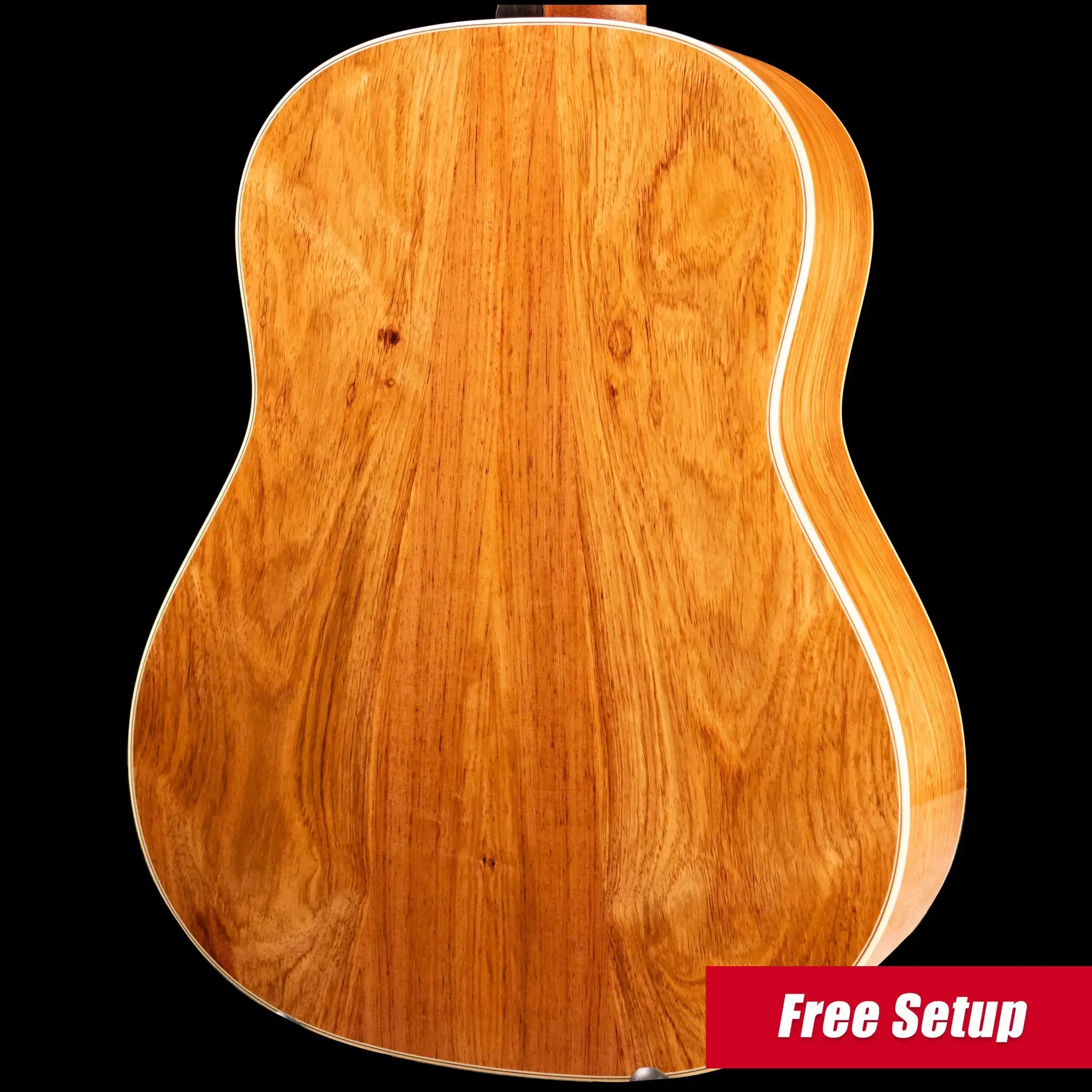 Taylor Gold Label 817e SB Grand Pacific Acoustic/Electric Guitar - Sunburst with Hardshell Case