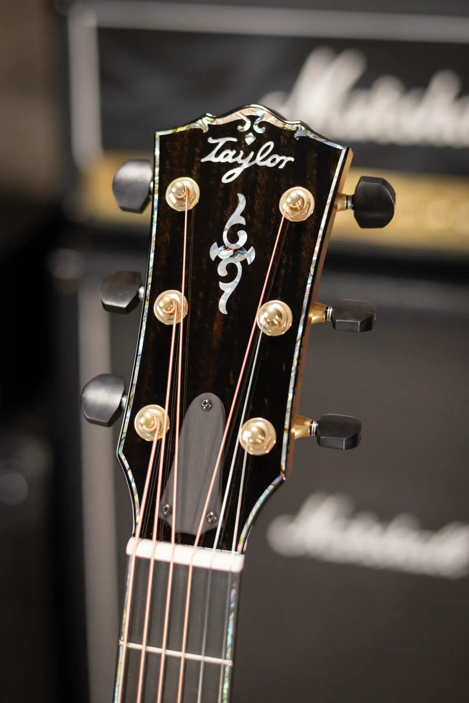 Taylor Gold Label 914e Super Auditorium Acoustic/Electric Guitar with Hardshell Case