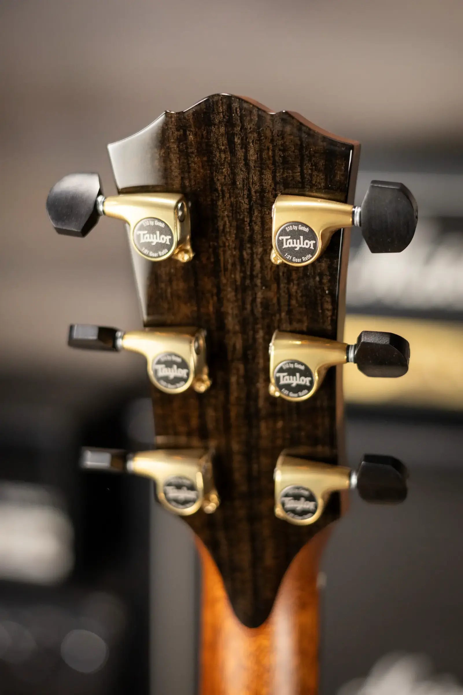 Taylor Gold Label 914e Super Auditorium Acoustic/Electric Guitar with Hardshell Case