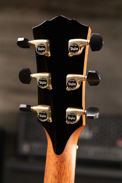 Taylor Gold Label 917e Grand Pacific Acoustic/Electric Guitar - Natural with Hardshell Case