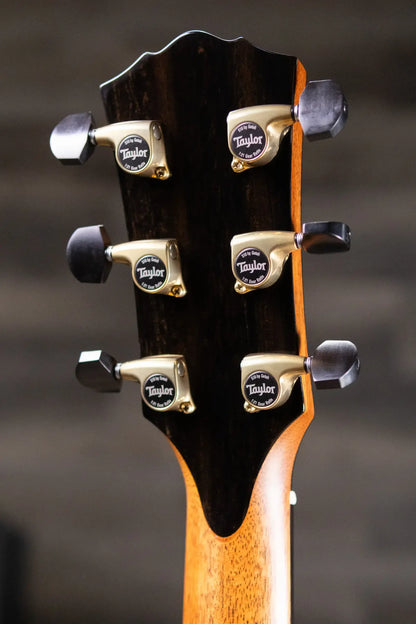 Taylor Gold Label 917e LTD Grand Pacific Acoustic/Electric Guitar - Brazilian Rosewood with Hardshell Case