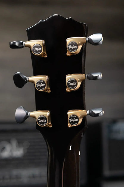 Taylor Gold Label C17e B6009 Catch Custom #9 Grand Pacific Acoustic/Electric Guitar - Maple (A Flame) Sitka Spruce (Bear claw) Top with Hardshell Case