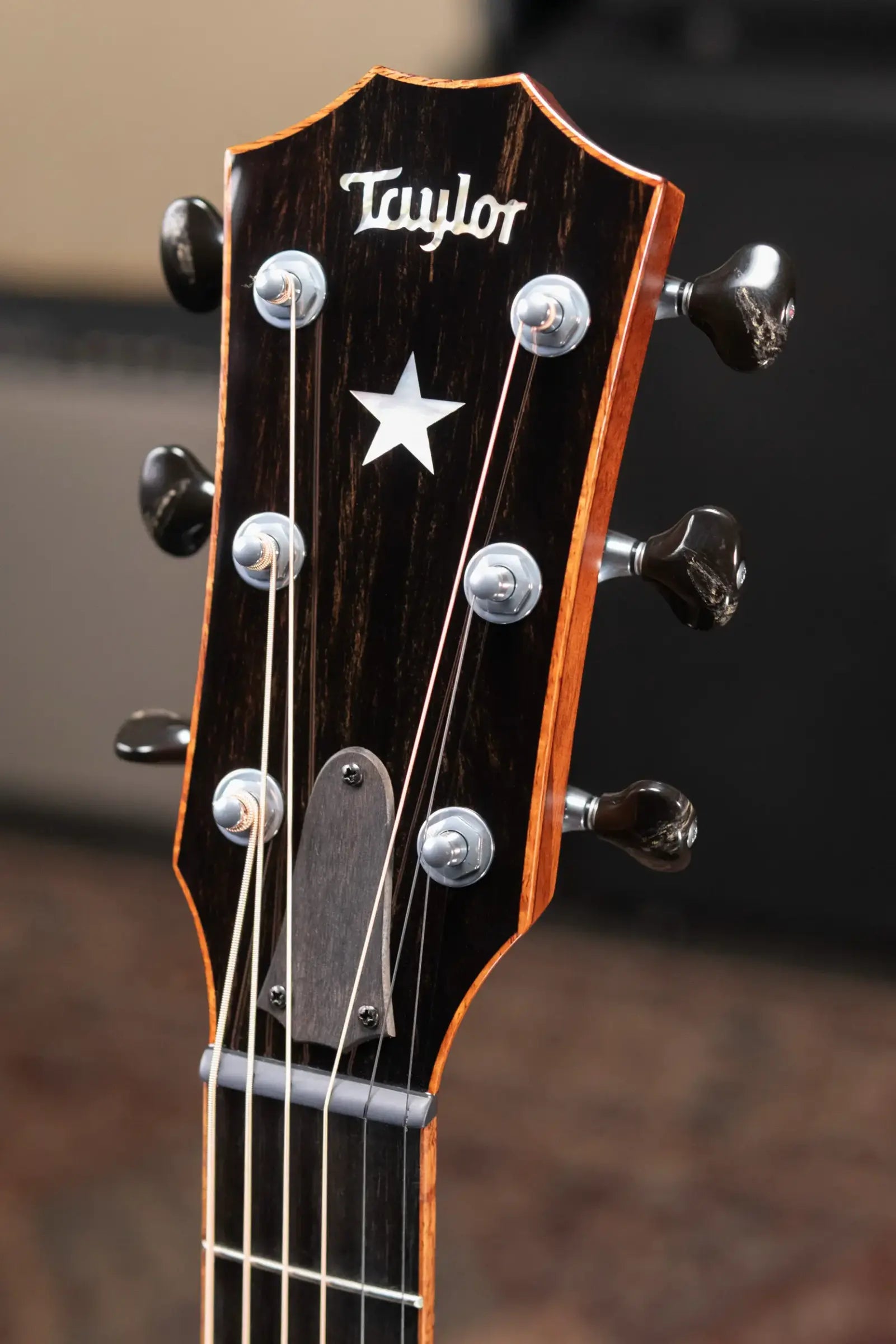 Taylor Guitars 4 Vets 814ce Special Edition Grand Auditorium Acoustic/Electric Guitar - Blacktop with Hardshell Case