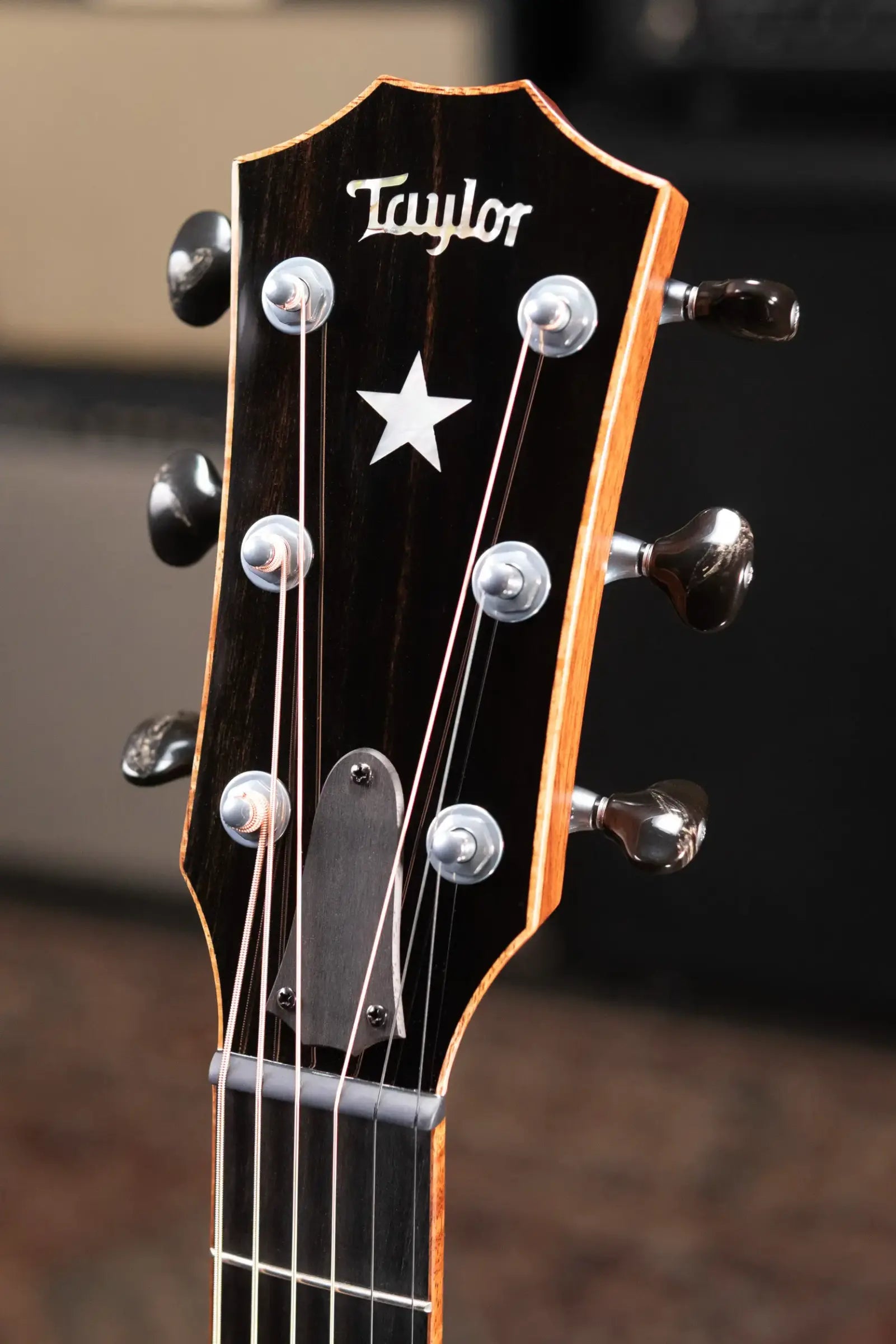 Taylor Guitars 4 Vets 814ce Special Edition Grand Auditorium Acoustic/Electric Guitar - Blacktop with Hardshell Case