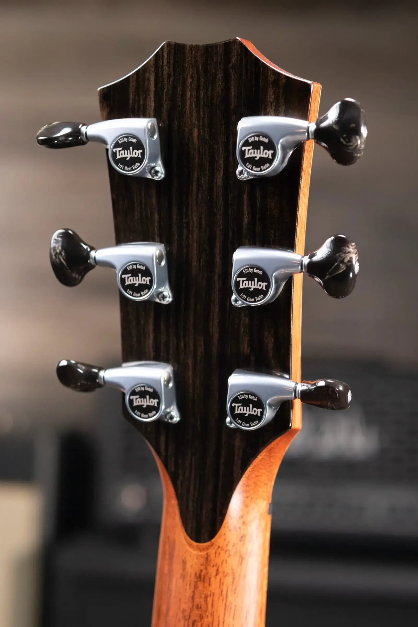 Taylor Guitars 4 Vets 814ce Special Edition Grand Auditorium Acoustic/Electric Guitar - Blacktop with Hardshell Case