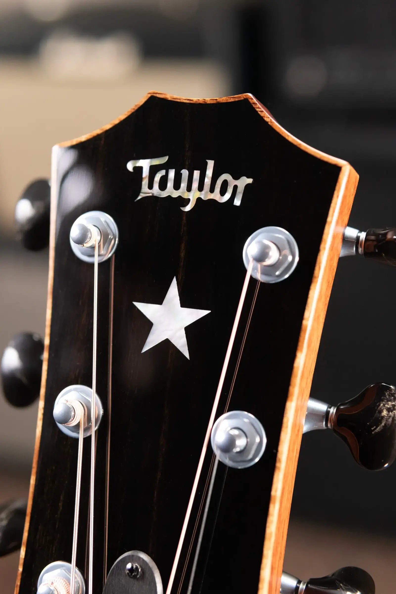 Taylor Guitars 4 Vets 814ce Special Edition Grand Auditorium Acoustic/Electric Guitar - Blacktop with Hardshell Case