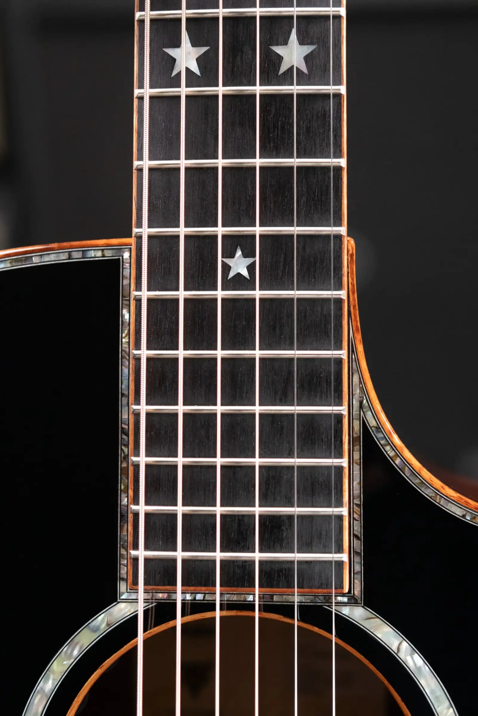 Taylor Guitars 4 Vets 814ce Special Edition Grand Auditorium Acoustic/Electric Guitar - Blacktop with Hardshell Case