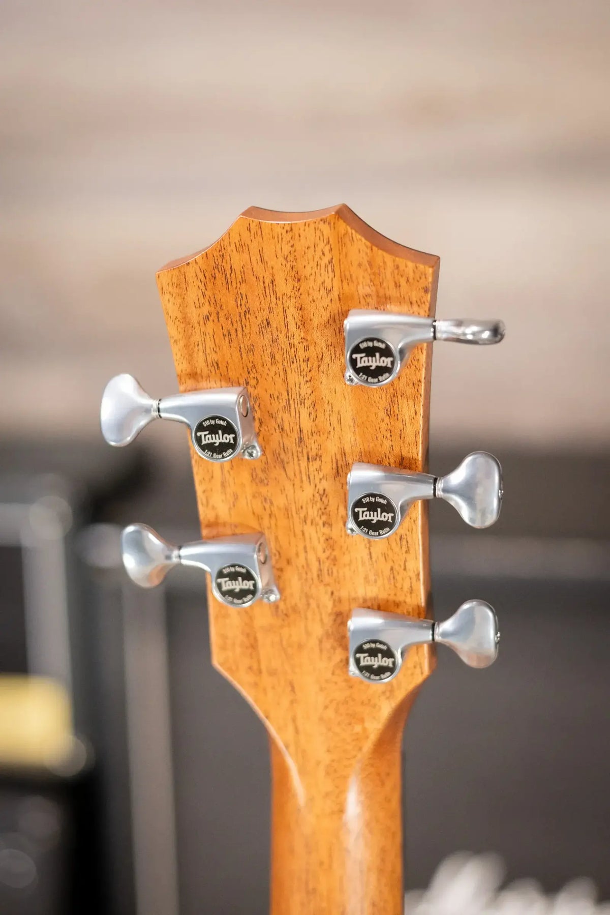 Taylor JCSM-5 Jacob Collier Signature 5-String Acoustic/Electric Guitar with Hardshell Case - Factory Demo