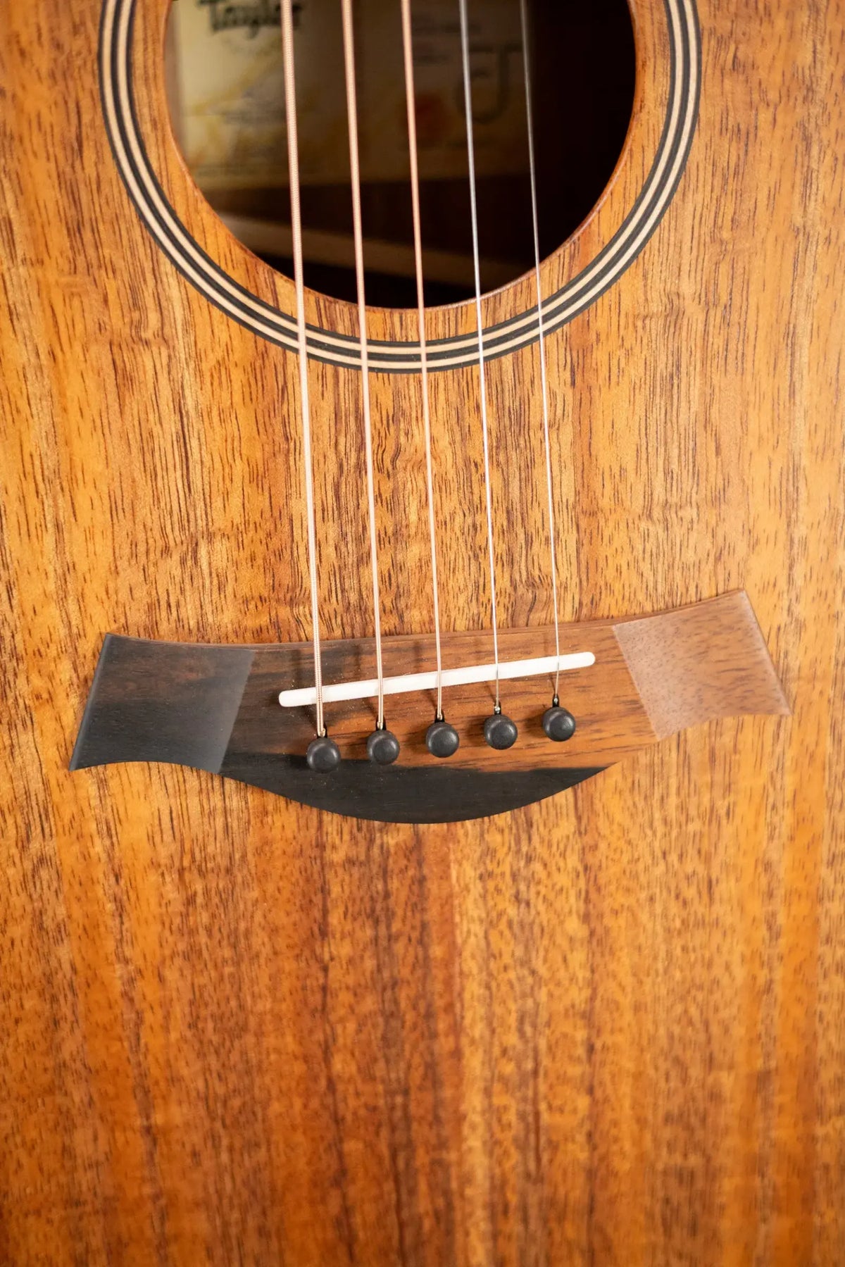 Taylor JCSM-5 Jacob Collier Signature 5-String Acoustic/Electric Guitar with Hardshell Case - Factory Demo