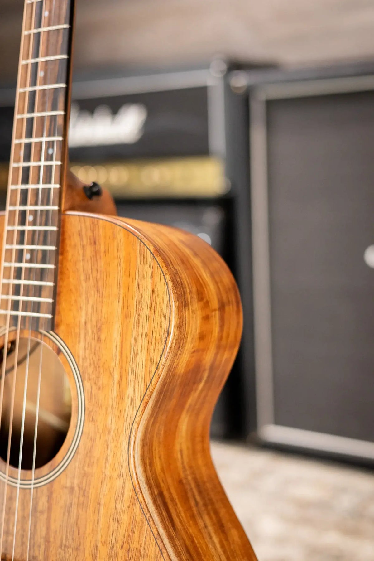 Taylor JCSM-5 Jacob Collier Signature 5-String Acoustic/Electric Guitar with Hardshell Case - Factory Demo