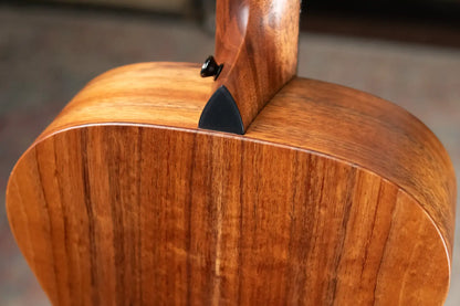 Taylor JCSM-6 Jacob Collier Signature Acoustic/Electric Guitar with Hardshell Case - Demo