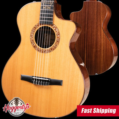 Taylor JMSM Jason Mraz Signature Nylon Grand Concert Acoustic/Electric Guitar with Hardshell Case