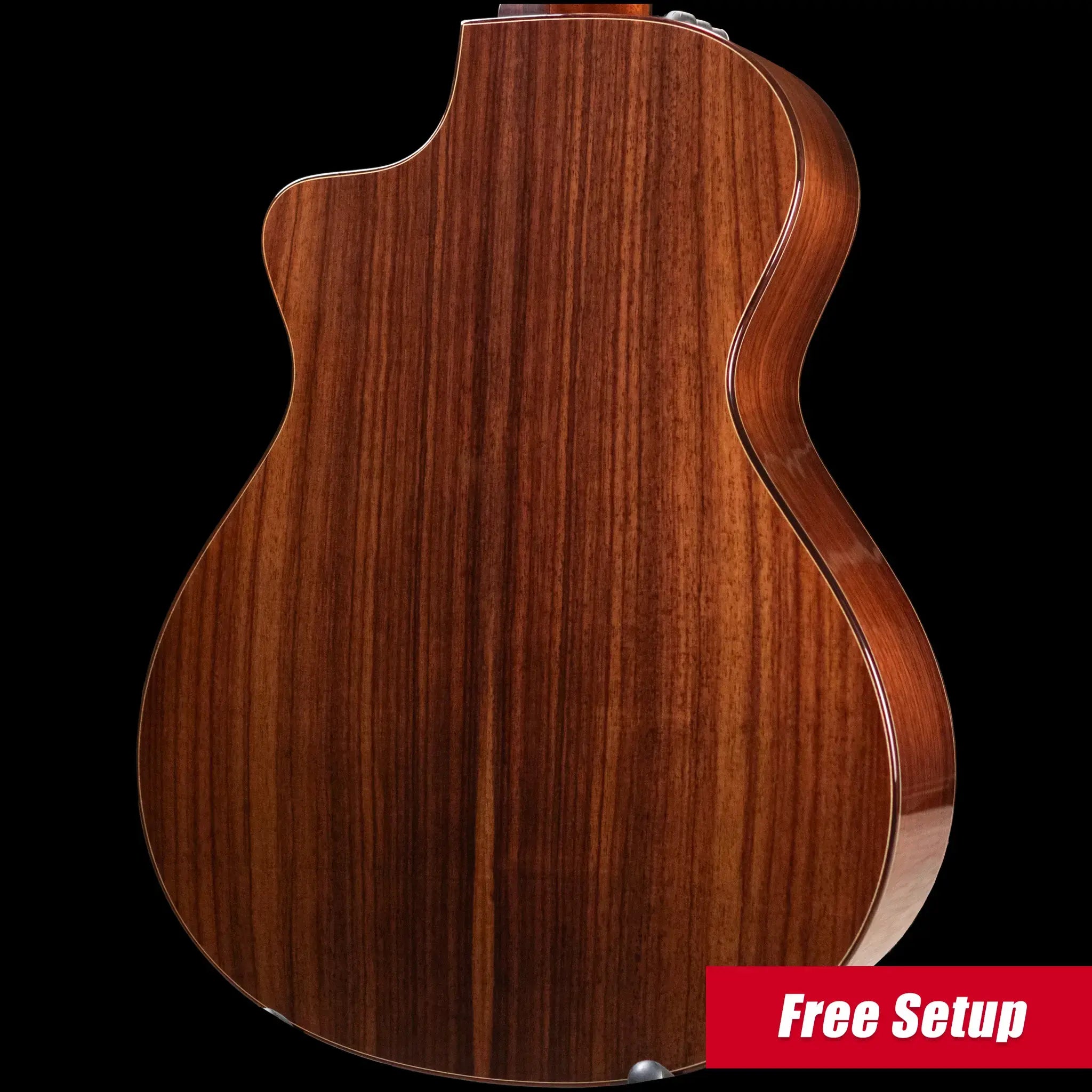 Taylor JMSM Jason Mraz Signature Nylon Grand Concert Acoustic/Electric Guitar with Hardshell Case