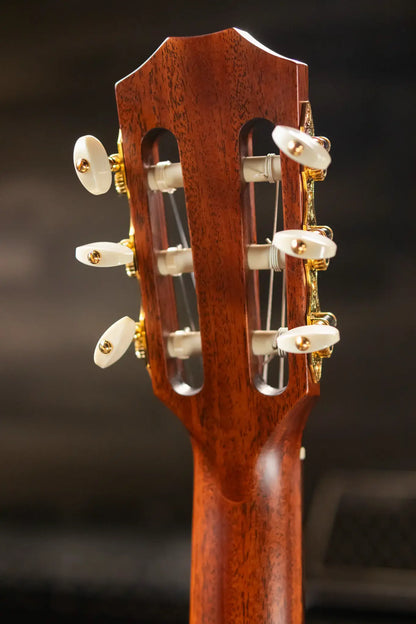 Taylor JMSM Jason Mraz Signature Nylon Grand Concert Acoustic/Electric Guitar with Hardshell Case