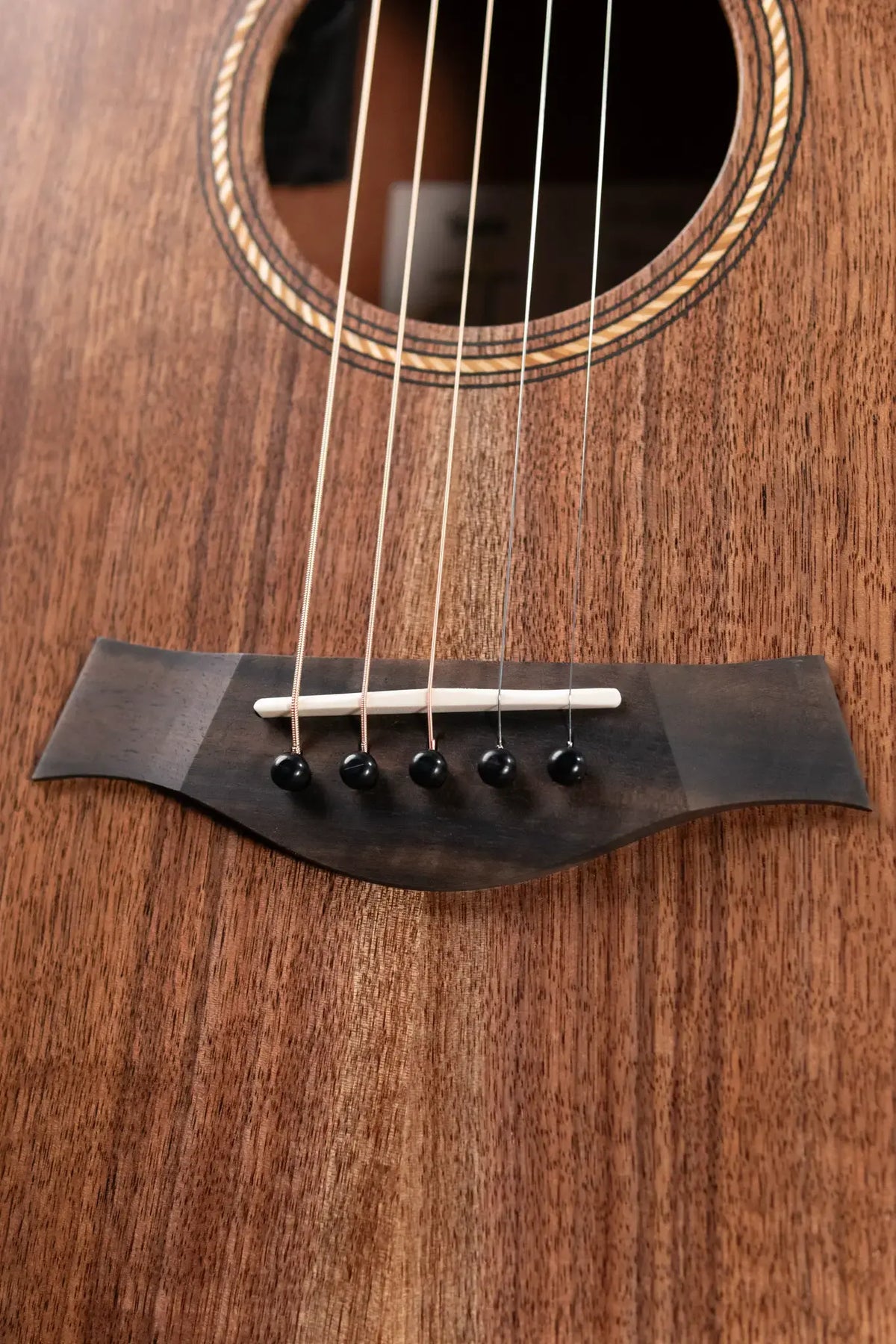 Taylor Jacob Collier Academy 22e 5-String Grand Concert Acoustic/Electric Guitar with Gig Bag