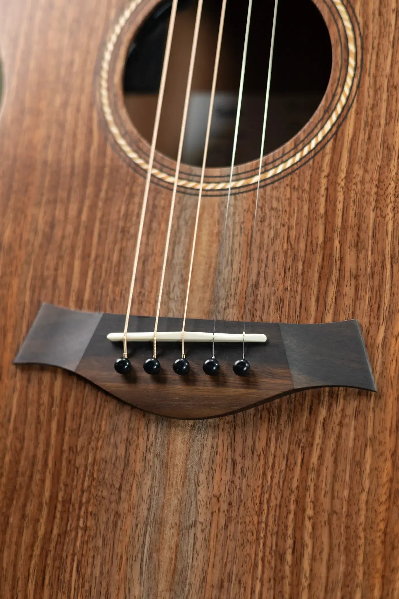 Taylor Jacob Collier Academy 22e 5-String Grand Concert Acoustic/Electric Guitar with Gig Bag