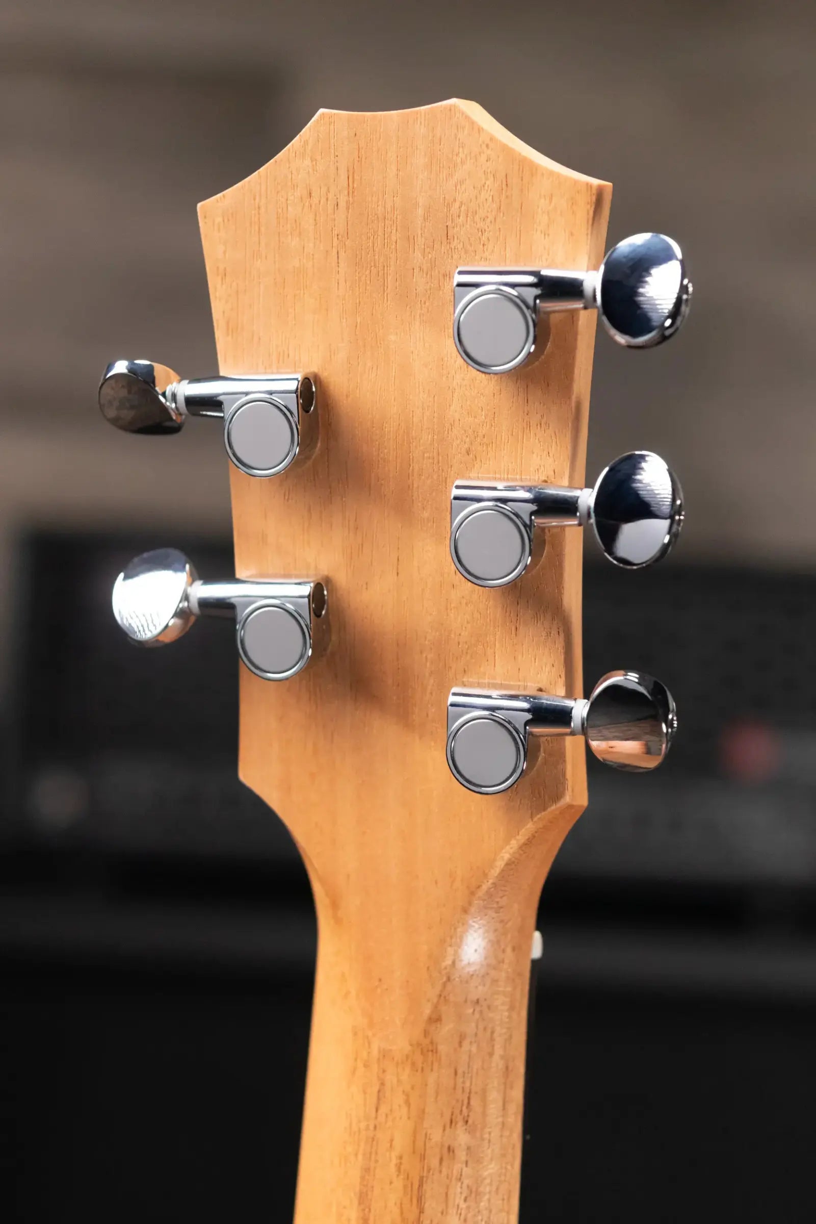 Taylor Jacob Collier GS Mini 5-String Acoustic Guitar with GS Mini Bag