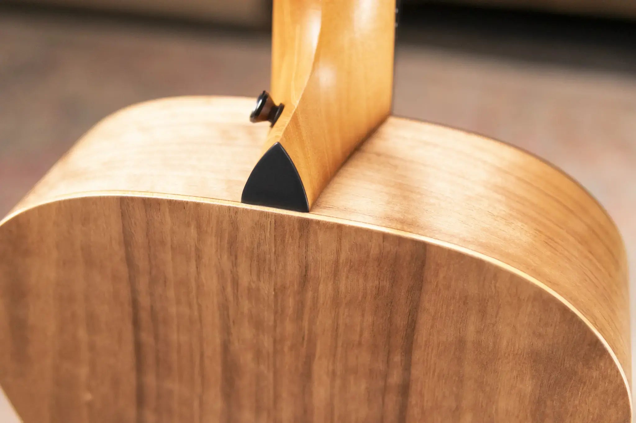 Taylor Jacob Collier Signature Academy 22e 5-String Acoustic/Electric Guitar with Gig Bag