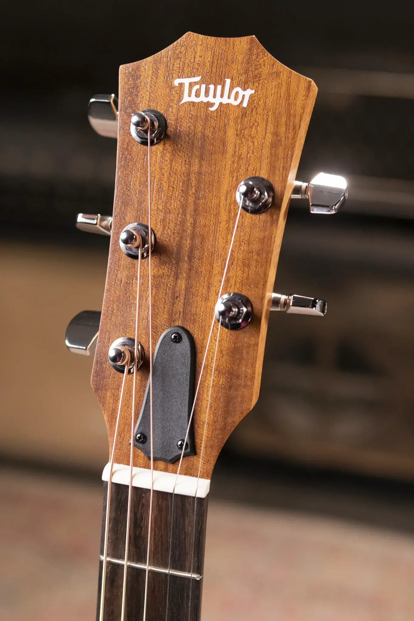 Taylor Jacob Collier Signature Academy 22e 5-String Grand Concert Acoustic/Electric Guitar with Gig Bag