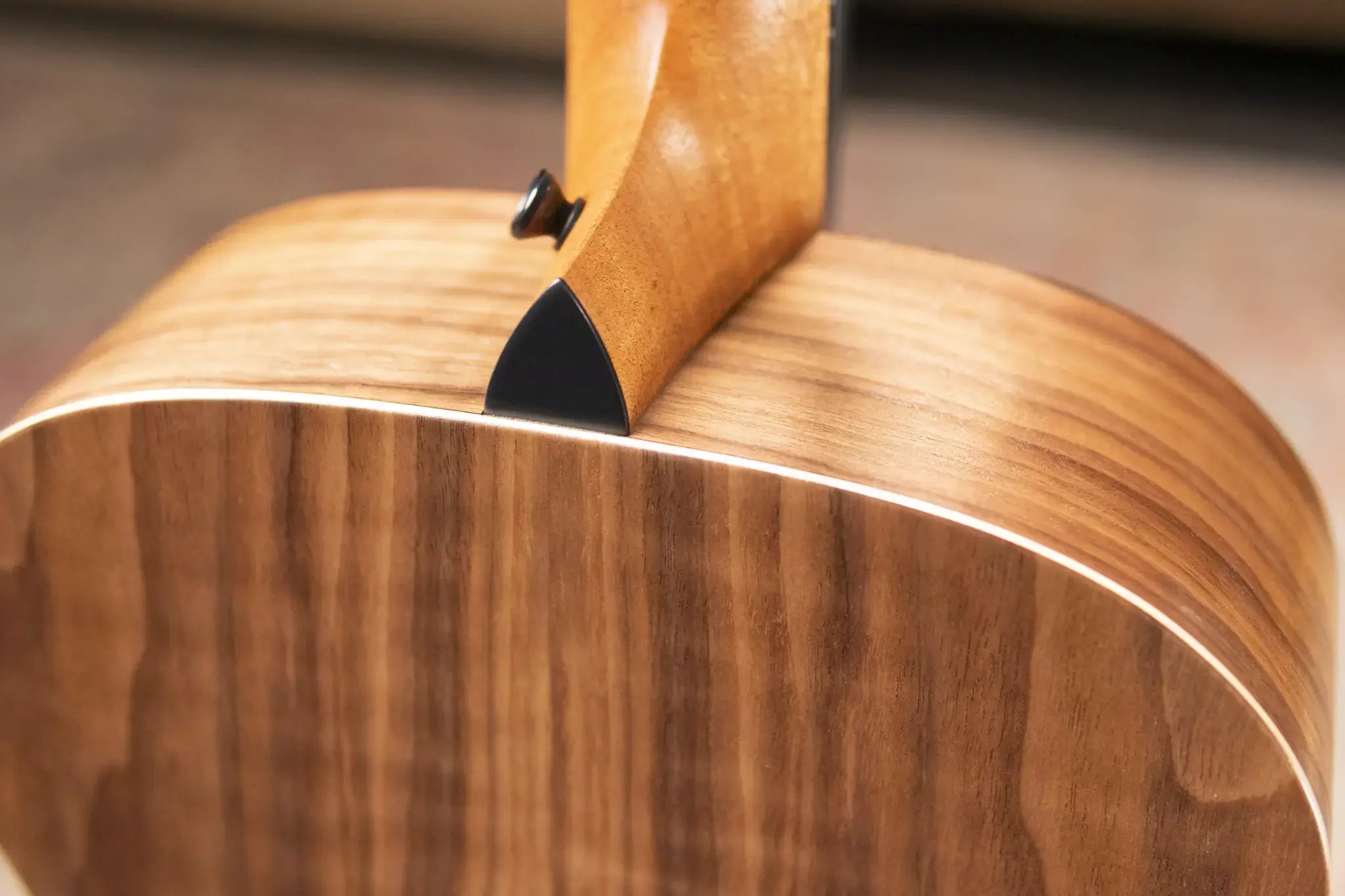 Taylor Jacob Collier Signature Academy 22e 5-String Grand Concert Acoustic/Electric Guitar with Gig Bag