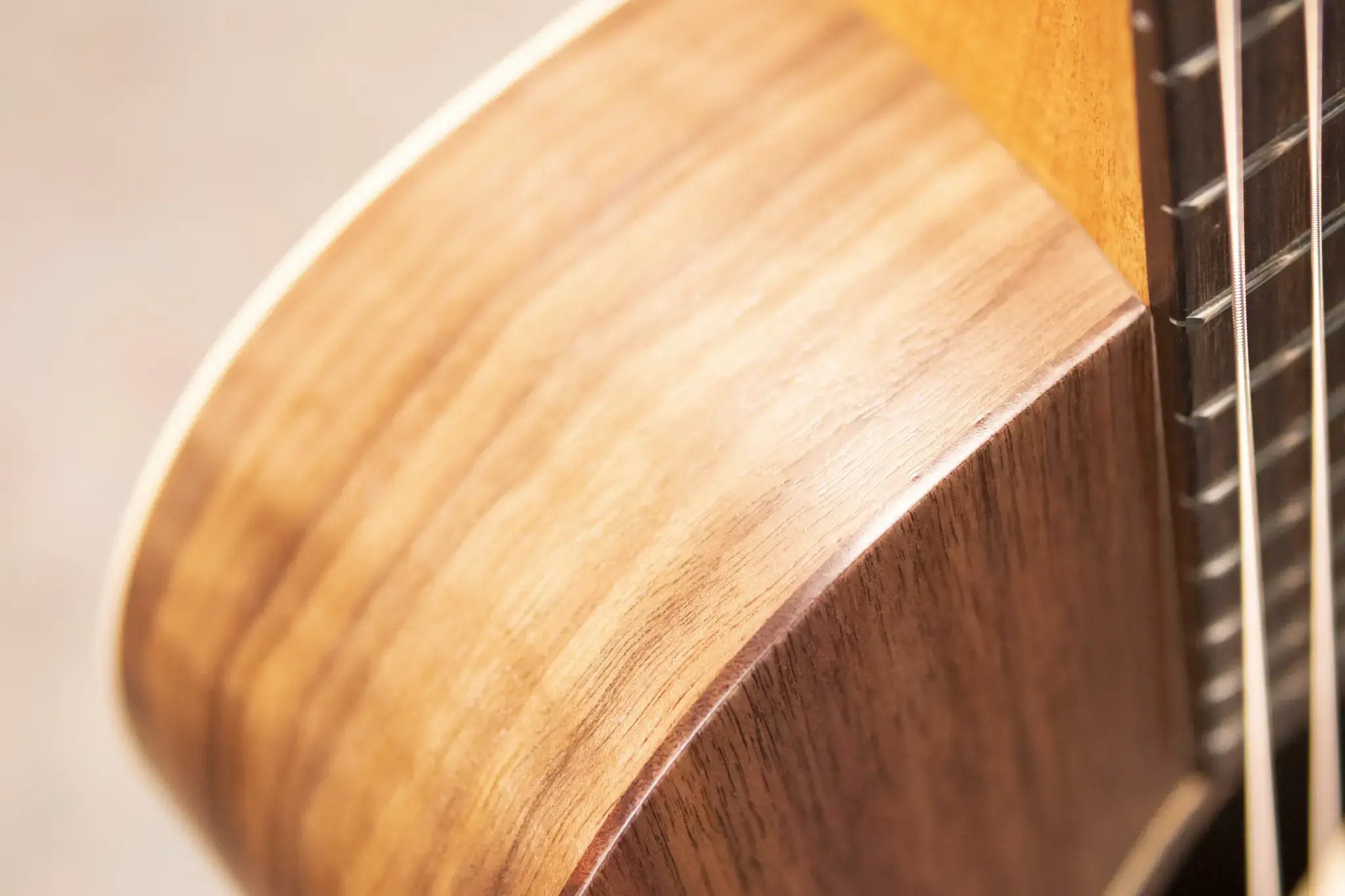 Taylor Jacob Collier Signature Academy 22e 5-String Grand Concert Acoustic/Electric Guitar with Gig Bag