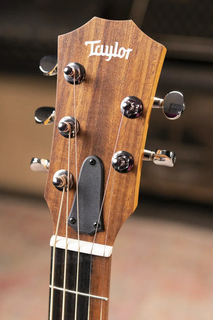 Taylor Jacob Collier Signature GS Mini 5-String Acoustic Guitar with GS Mini Bag