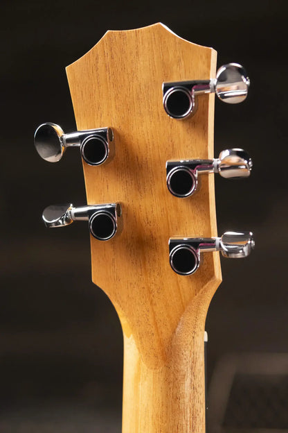 Taylor Jacob Collier Signature GS Mini 5-String Acoustic Guitar with GS Mini Bag