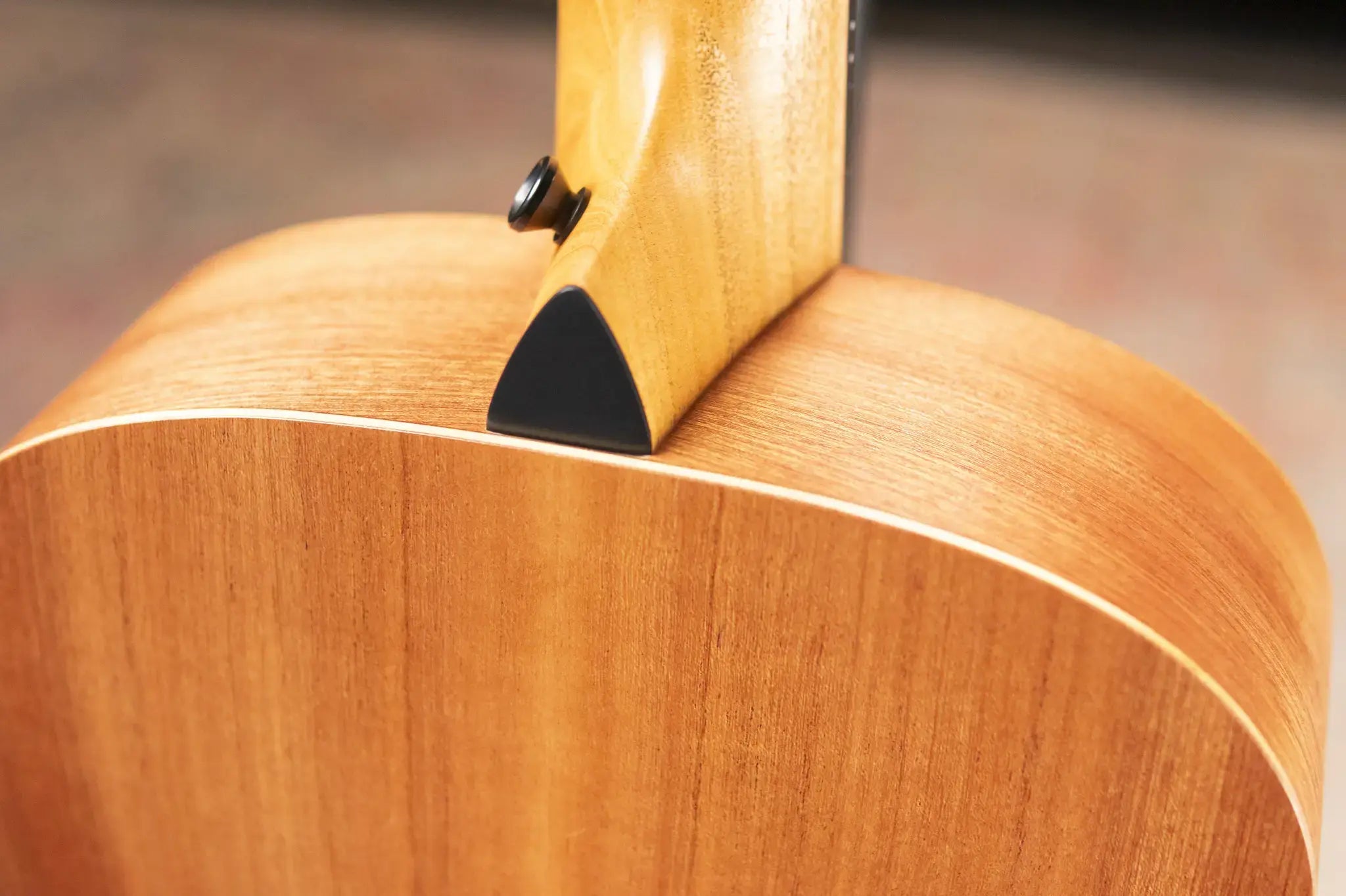 Taylor Jacob Collier Signature GS Mini 5-String Acoustic Guitar with GS Mini Bag