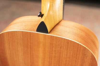 Taylor Jacob Collier Signature GS Mini 5-String Acoustic Guitar with GS Mini Bag