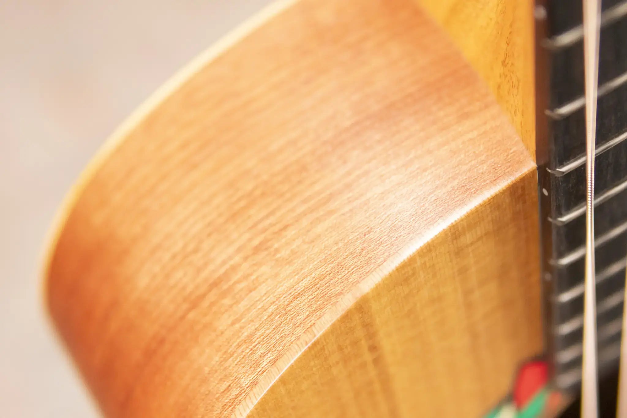 Taylor Jacob Collier Signature GS Mini 5-String Acoustic Guitar with GS Mini Bag