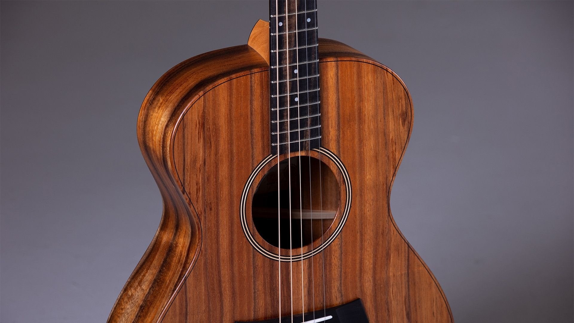 Taylor JCSM-5 Jacob Collier Signature 5-String Acoustic Guitar with Aerocase