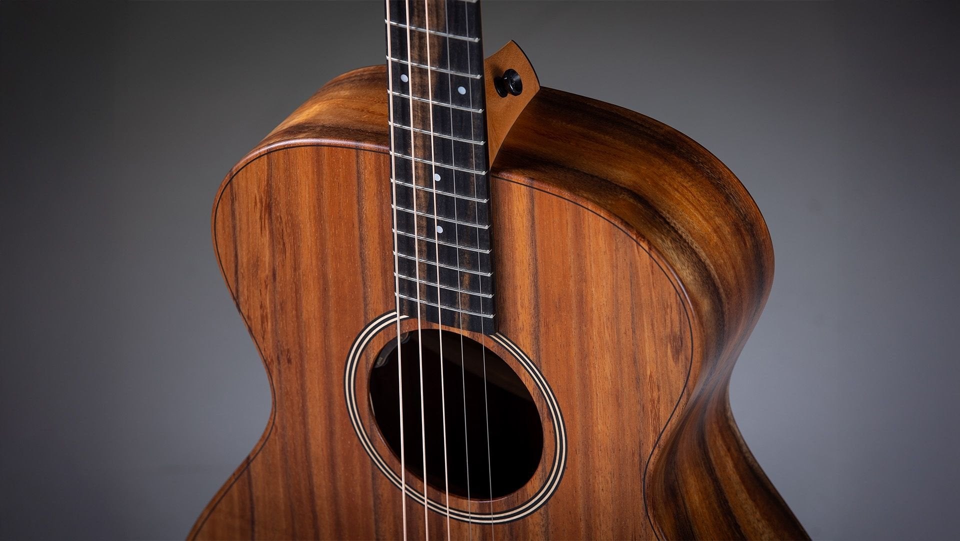 Taylor JCSM-5 Jacob Collier Signature 5-String Acoustic Guitar with Aerocase