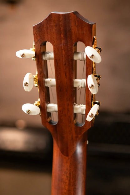 Taylor Jason Mraz Signature Grand Concert Nylon Acoustic/Electric with Deluxe Hardshell Case - Floor Model Demo