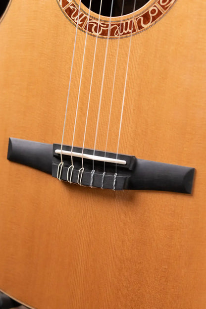 Taylor Jason Mraz Signature Grand Concert Nylon Acoustic/Electric with Deluxe Hardshell Case - Floor Model Demo