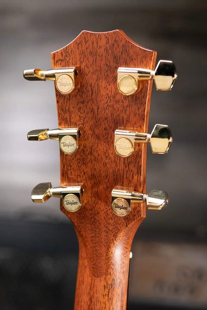Taylor Legacy 514ce Grand Auditorium Acoustic/Electric Guitar with Hardshell Case - Demo
