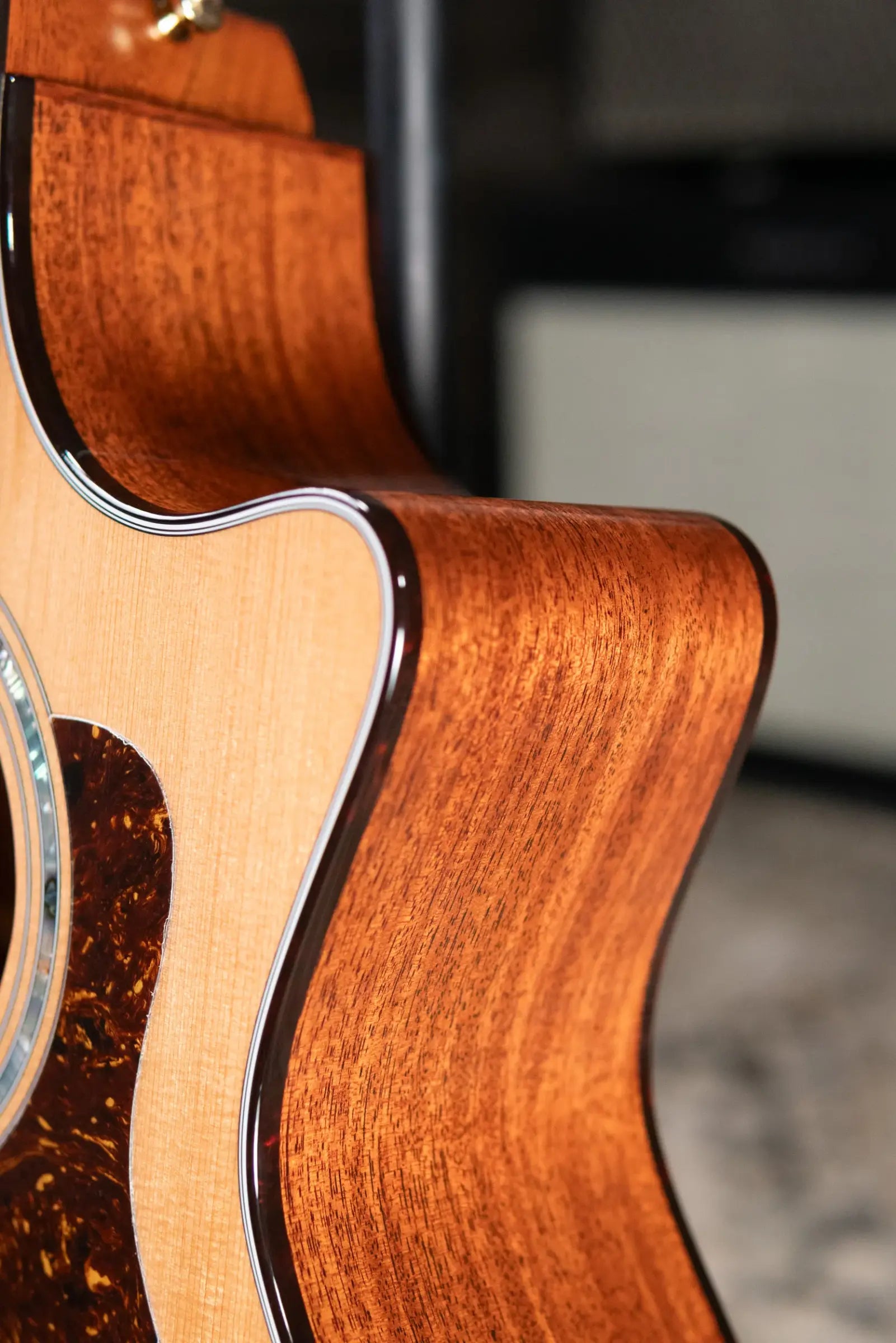 Taylor Legacy 514ce Grand Auditorium Acoustic/Electric Guitar with Hardshell Case - Demo