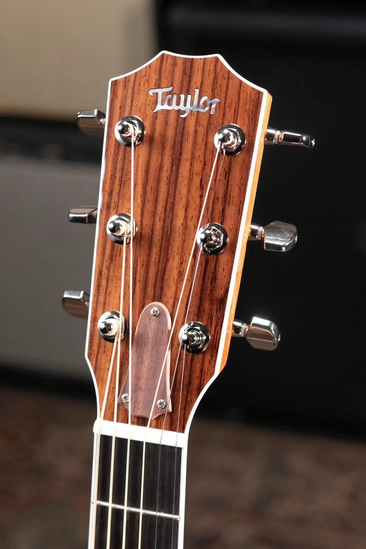 Taylor Legacy 810e Dreadnought Acoustic/Electric Guitar with Hardshell Case - Demo