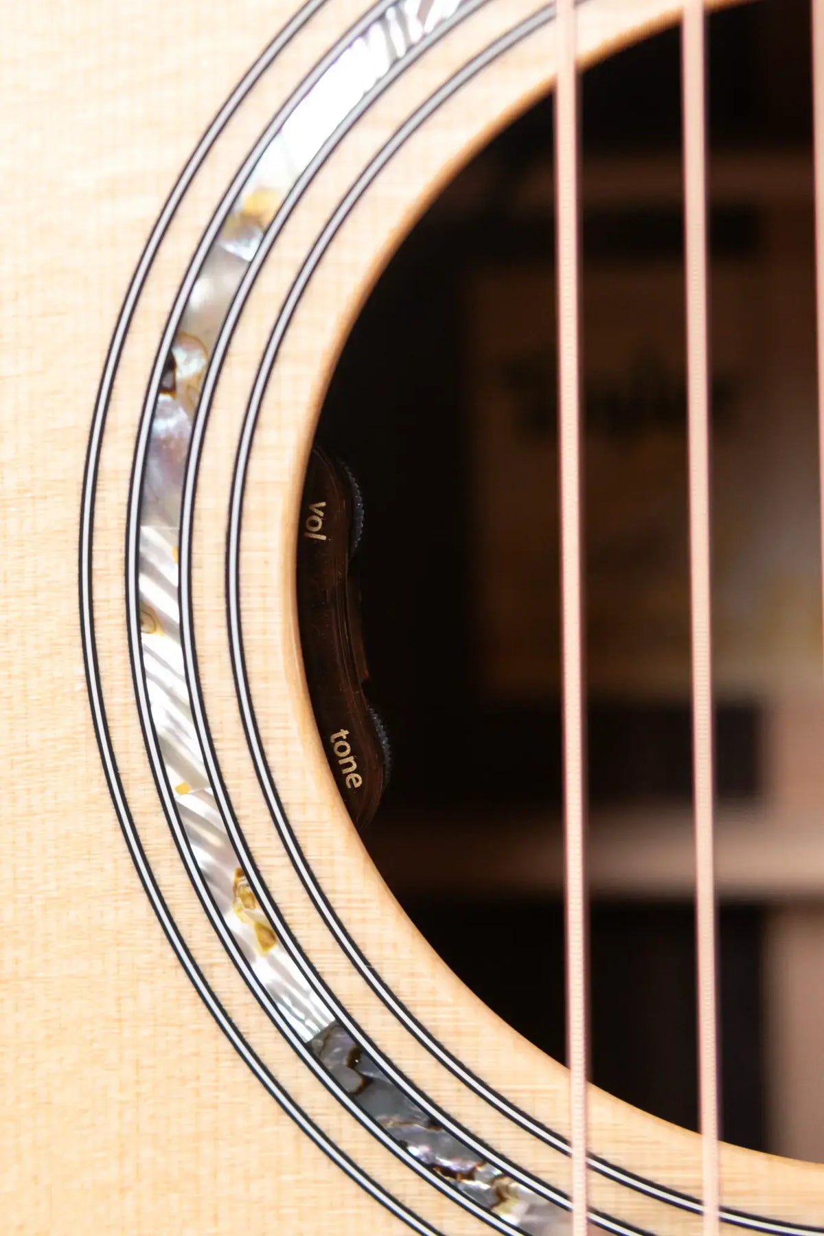 Taylor Legacy 810e Dreadnought Acoustic/Electric Guitar with Hardshell Case - Demo