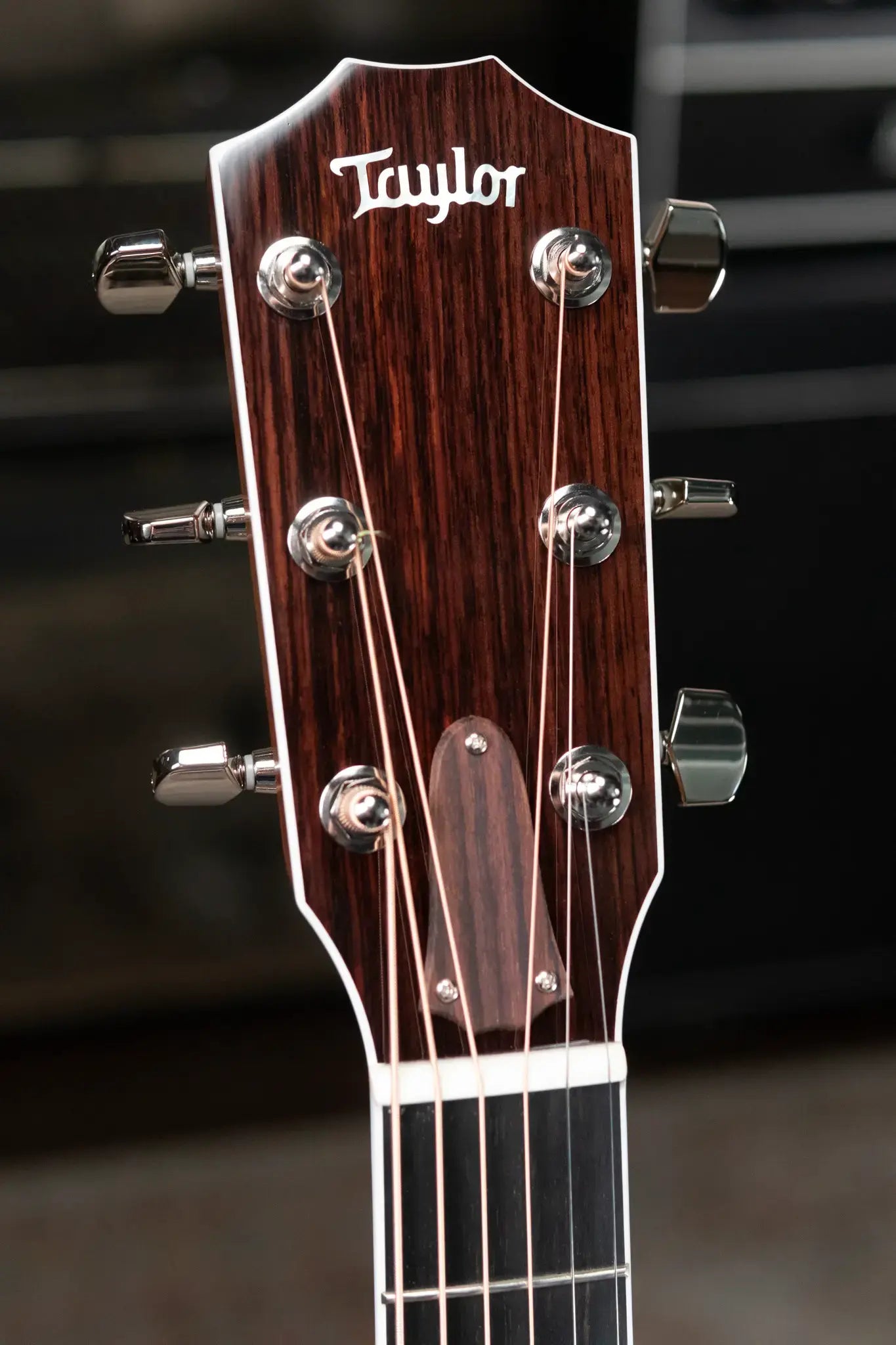 Taylor Legacy 810e Dreadnought Acoustic/Electric with Hardshell Case