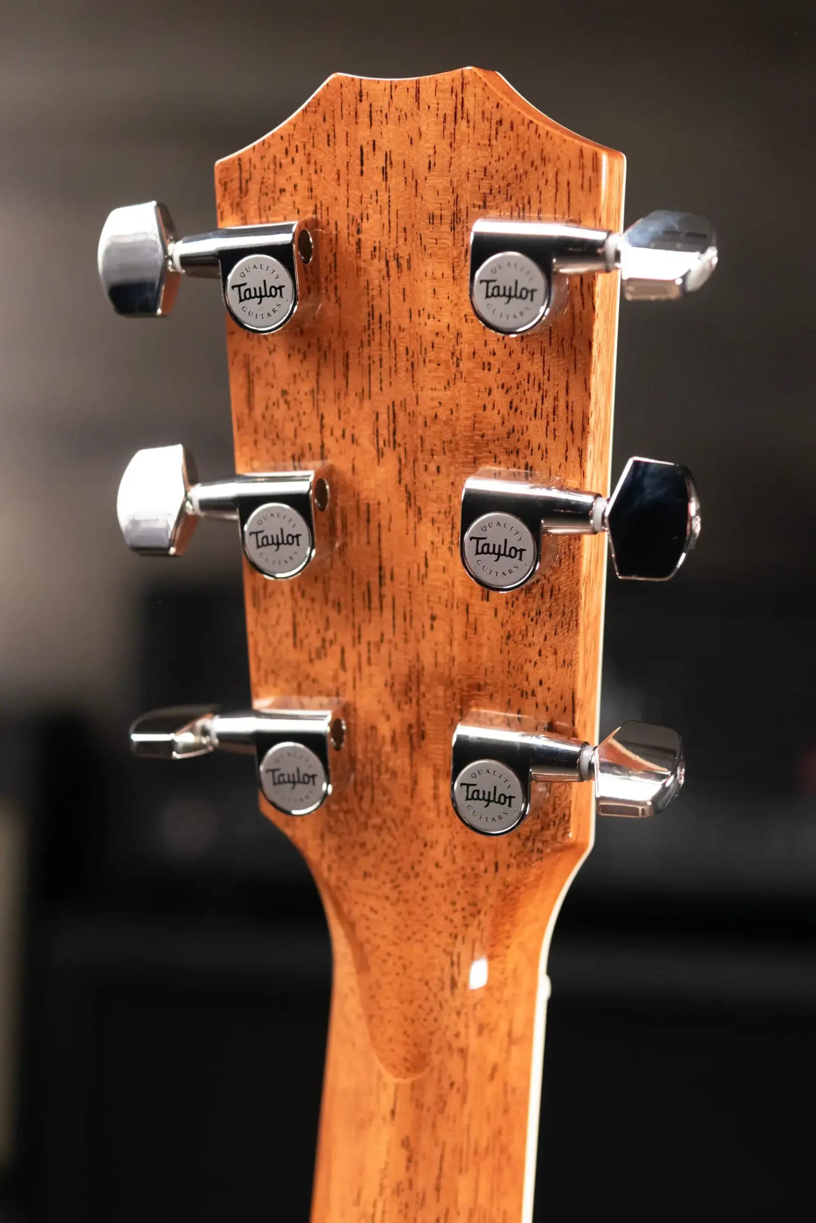 Taylor Legacy 810e Special Edition Dreadnought Acoustic/Electric Guitar - Heritage Burst with Hardshell Case