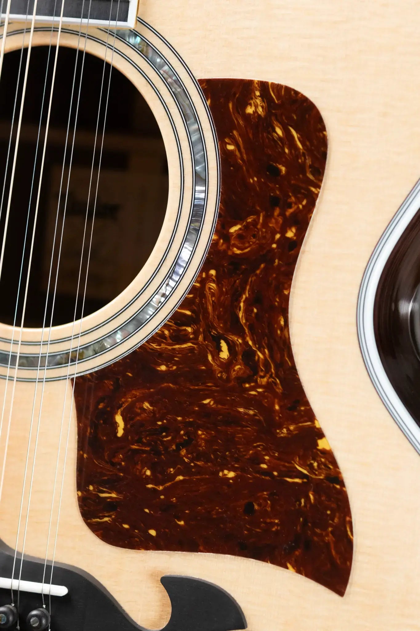 Taylor Legacy 855e 12-String Grand Orchestra Acoustic/Electric Guitar with Hardshell Case - Factory Demo
