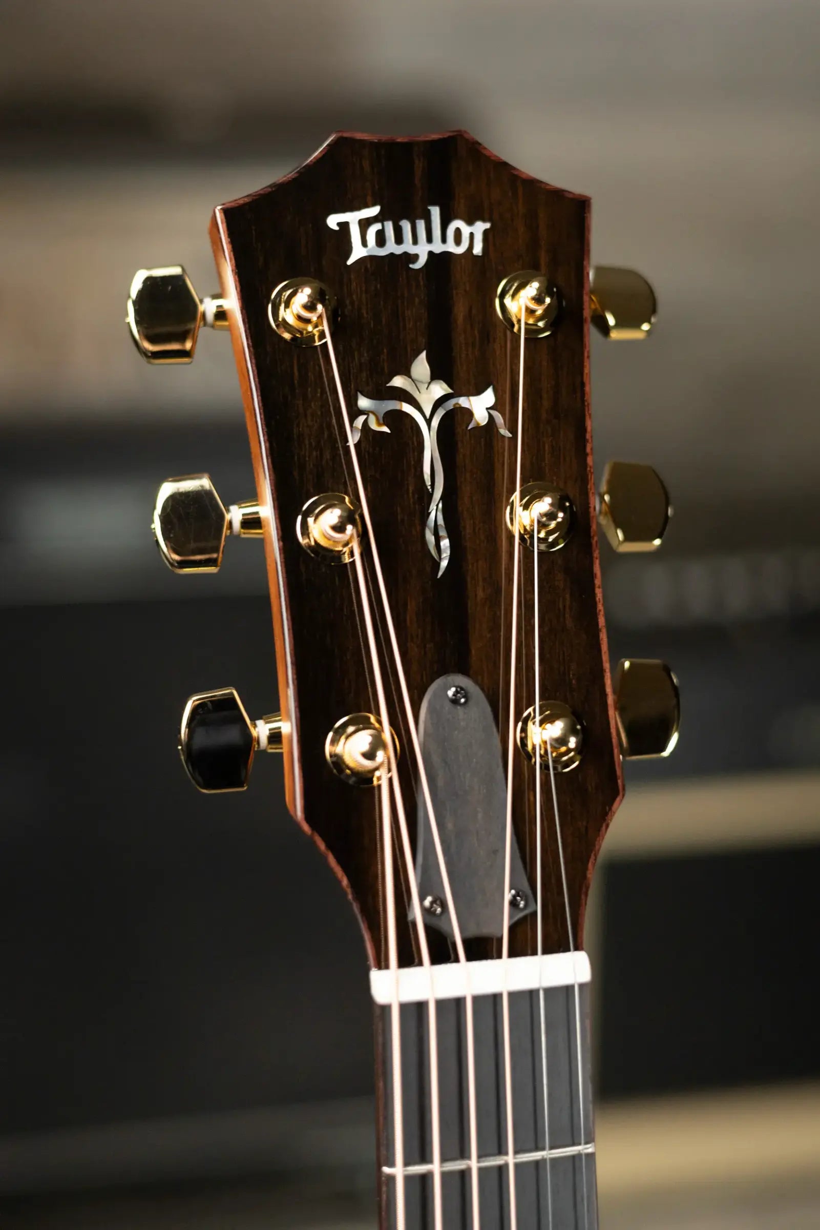 Taylor Legacy 914ce Grand Auditorium Acoustic/Electric Guitar with Hardshell Case