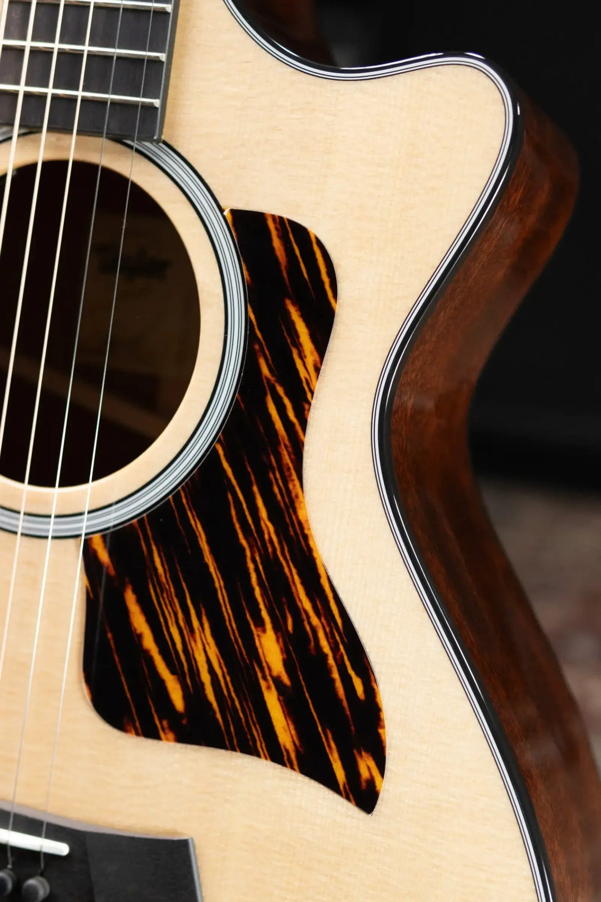 Taylor Next Generation 312ce 12-Fret Grand Concert Acoustic/Electric Guitar with Hardshell Case