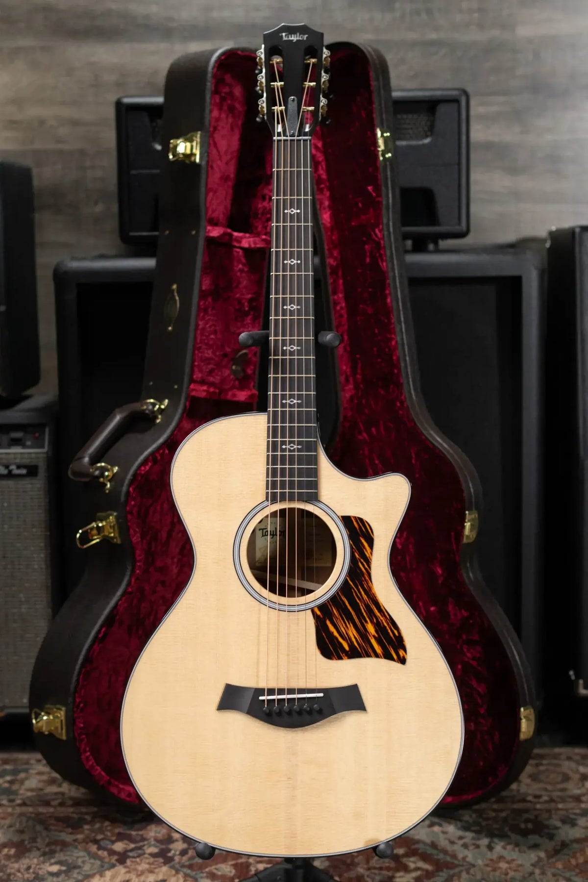 Taylor Next Generation 312ce 12-Fret Grand Concert Acoustic/Electric Guitar with Hardshell Case