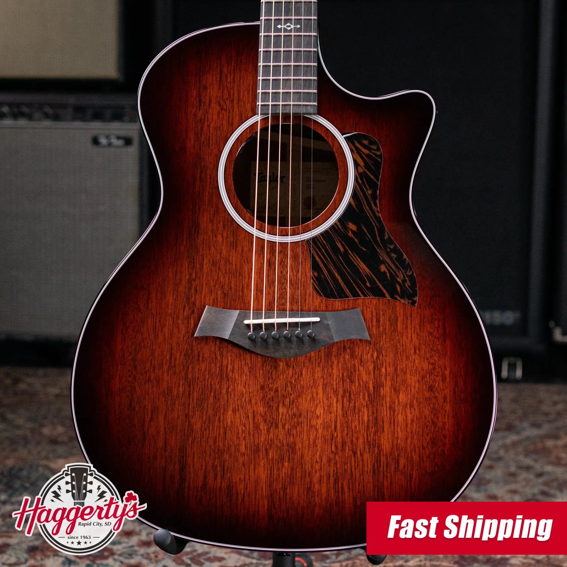 Taylor Next Generation 324ce Grand Auditorium Acoustic/Electric Guitar with Hardshell Case