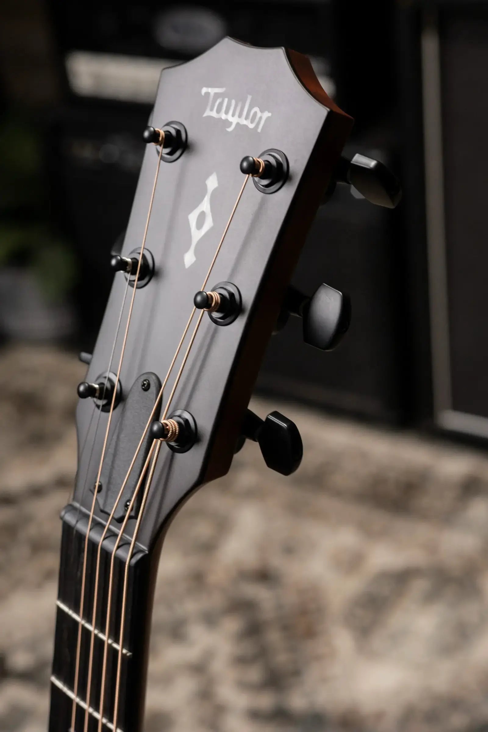 Taylor Next Generation 324ce Left-Handed Grand Auditorium Acoustic/Electric Guitar with Hardshell Case
