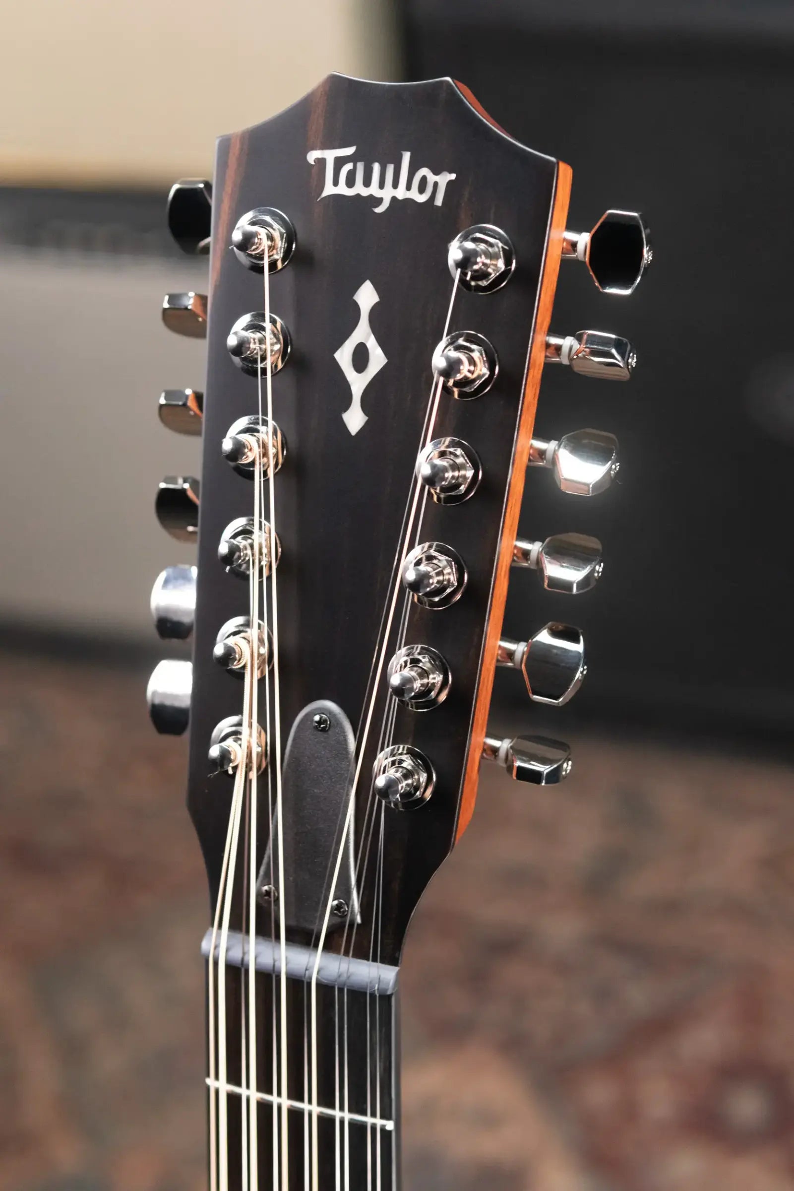 Taylor Next Generation 454ce 12-String Grand Auditorium Acoustic/Electric Guitar with Hardshell Case