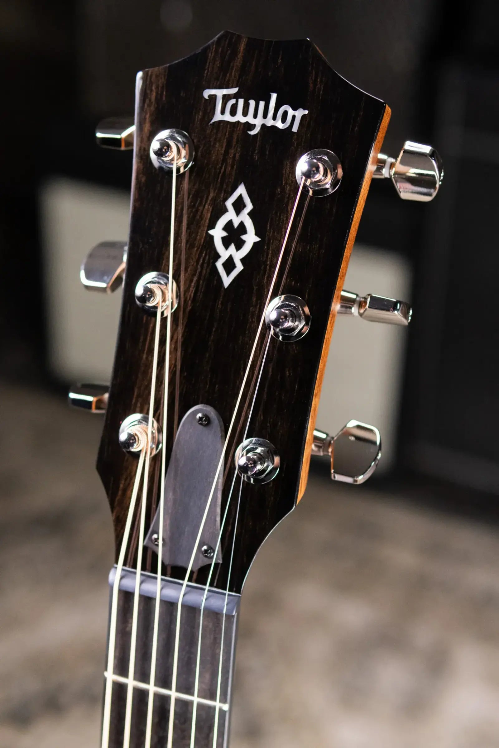 Taylor Next Generation 514ce Grand Auditorium Acoustic/Electric Guitar with Hardshell Case