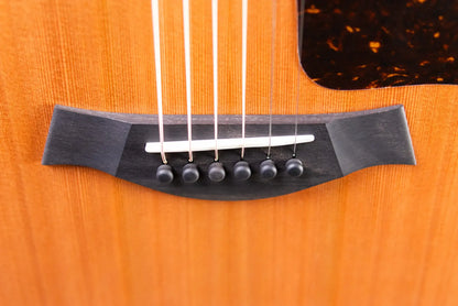 Taylor Next Generation 514ce Grand Auditorium Acoustic/Electric Guitar with Hardshell Case